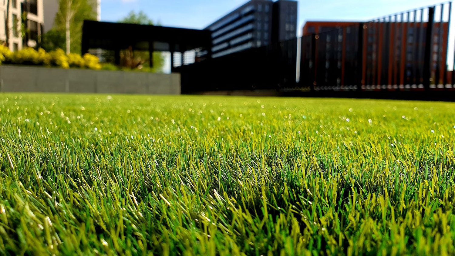 A Step-by-Step Guide: How to Install Artificial Grass