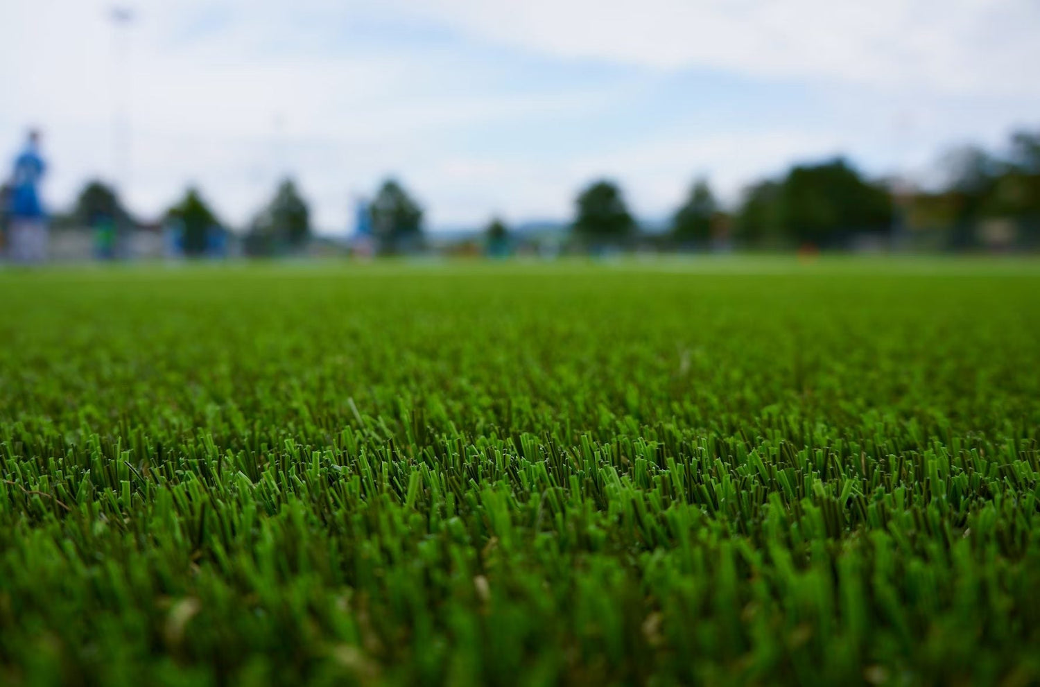 How Artificial Grass Benefits the Environment