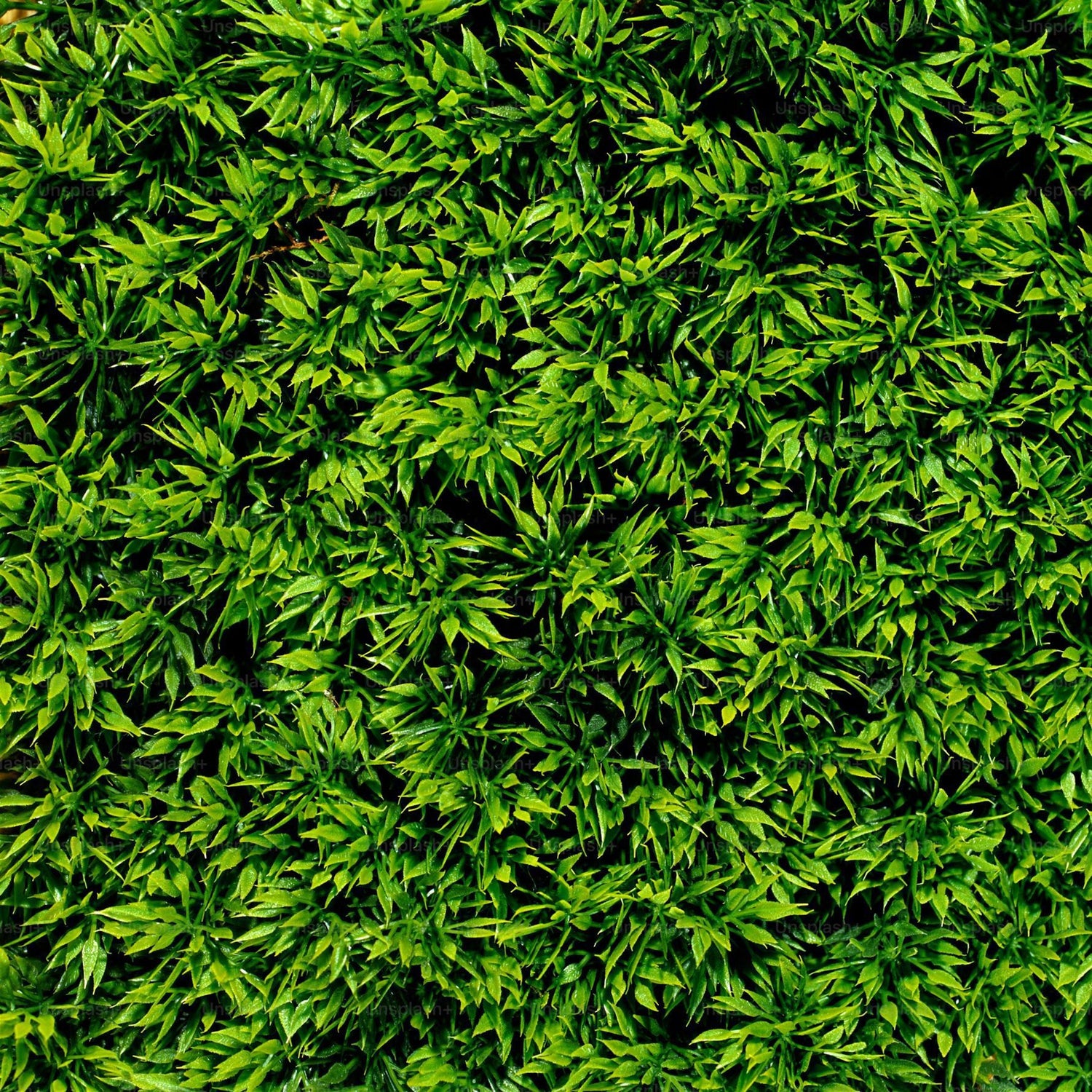 Can artificial grass be laid on concrete?