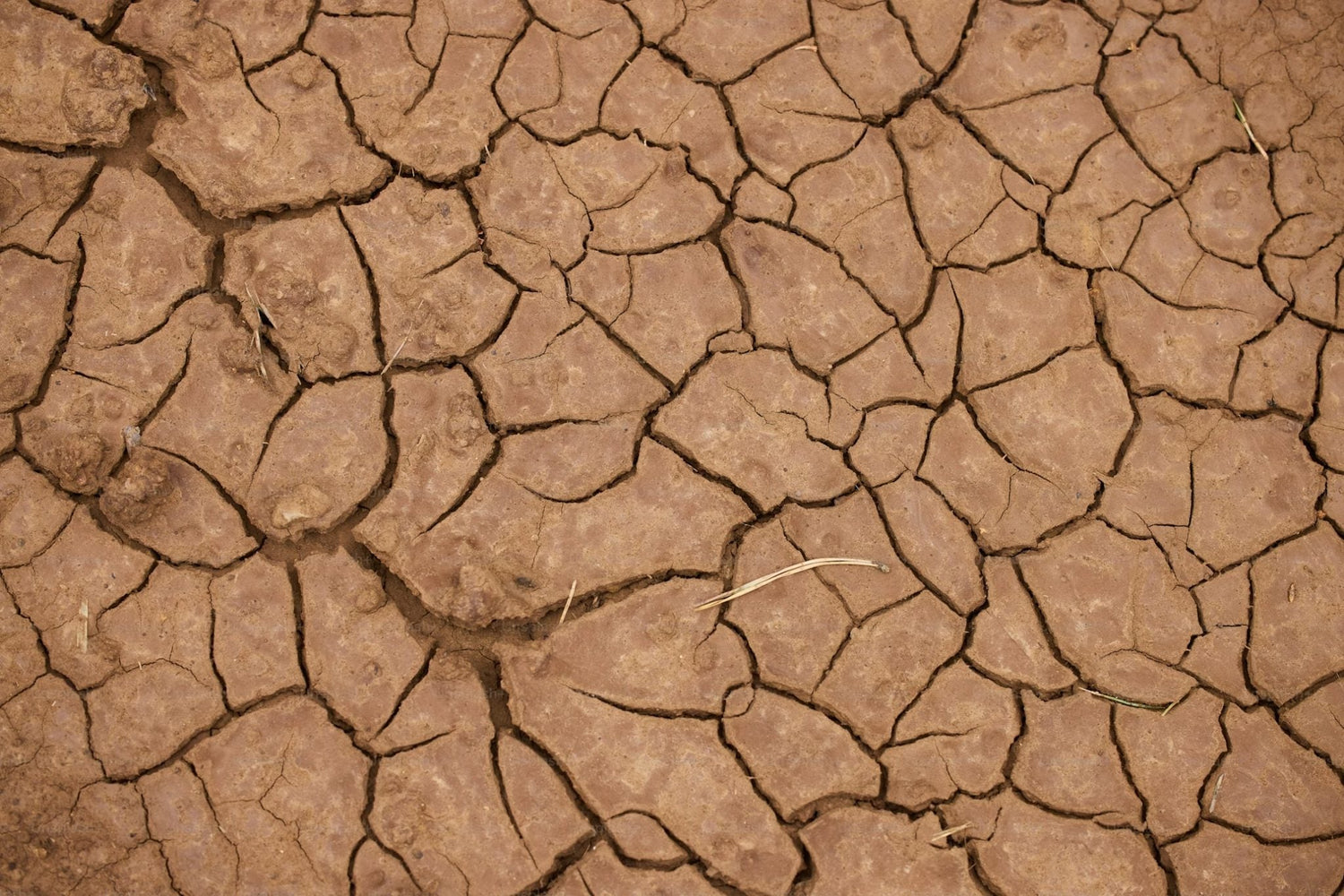 Can artificial grass be laid on Soil?