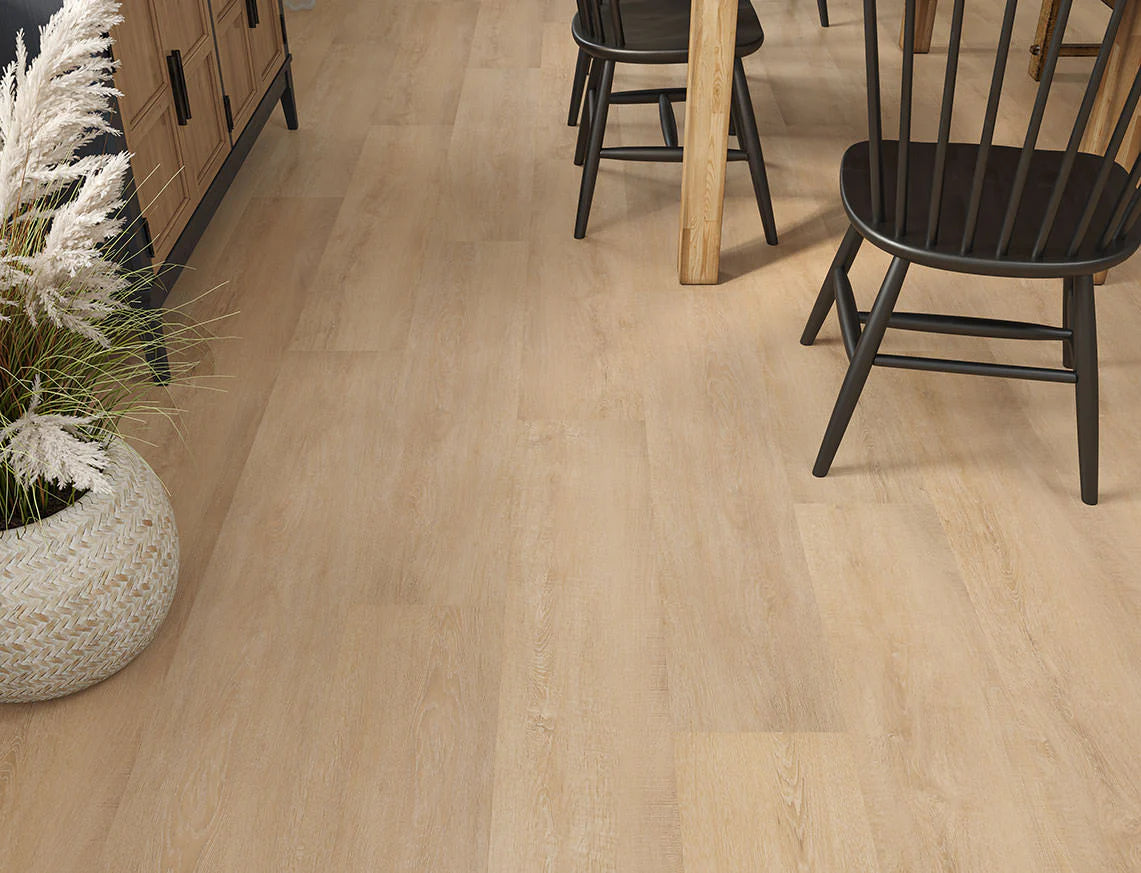 Sandy Oak - Glue LVT